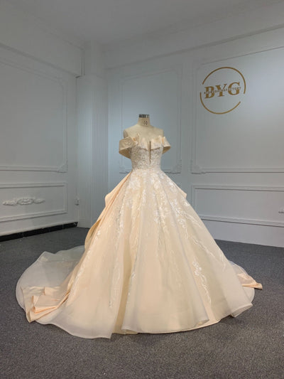 PD005- BYG CHAMPAGNE LUXURY BALL GOWN WEDDING DRESS