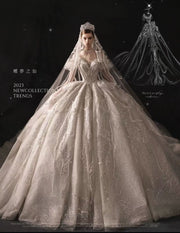 DIVINE 05 REGAL SHEER CORSET WITH AN INNER V PATTERN BALL GOWN
