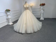 Z032-BYG OWN DESIGN WITH BEAUTIFUL BEADING AND V-NECKLINE BALL GOWN