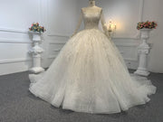 Z038-BYG OWN DESIGN WITH LONG SLEEVES AND LUXURIOUS BEADING LACE BALL GOWN
