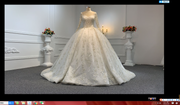 B238- BYG ivory long sleeves elegant flower beading lace ball gown