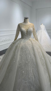 29811- BYG Long sleeve illusion tulle beadings and sequins ballgown